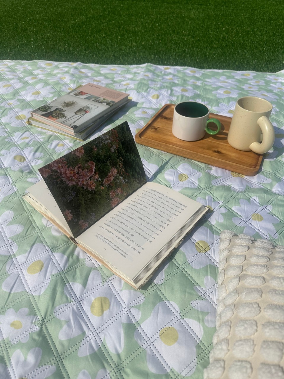 소롯 옥상 — 책과 차