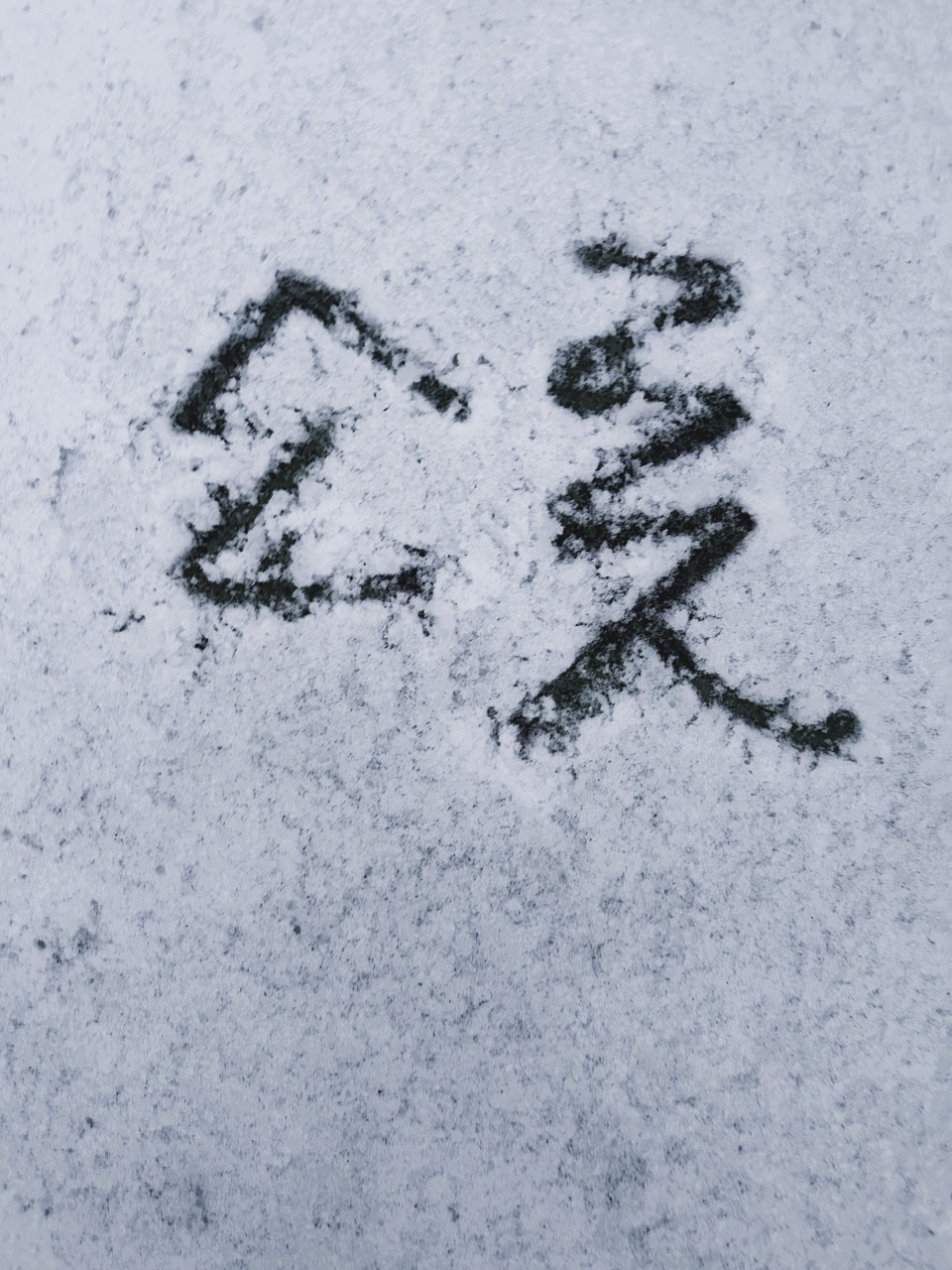 눈 위에 쓴 소롯